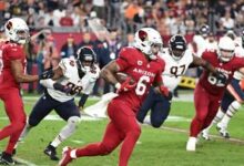 Chicago bears vs arizona cardinals match player stats